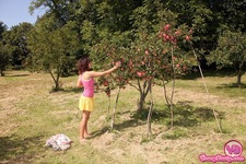 Linet - 00